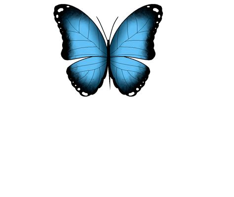 Butterfly Animated  Transparent