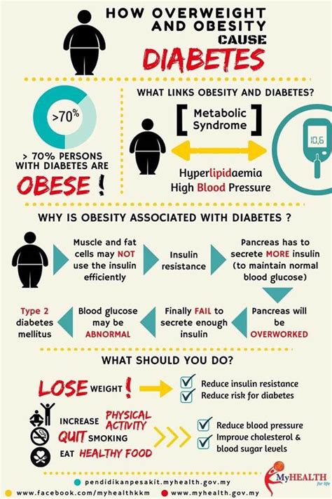 Infographic How Overweight And Obesity Cause Diabetes Health Blog Centre Info