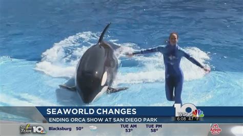 Seaworld Says It Will End Orca Shows In San Diego By 2017 Youtube