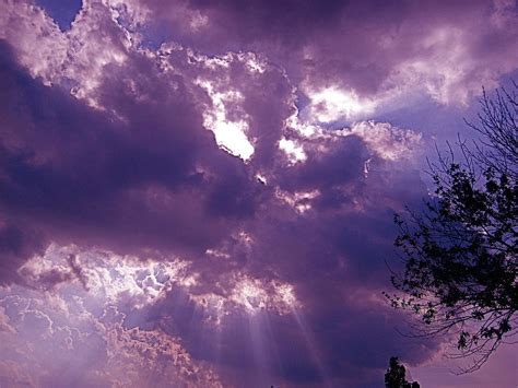 Purple Skies Photograph By Nola Starr Fine Art America
