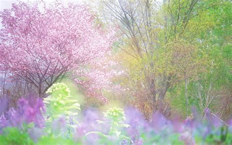 30 Spring Backgrounds Wallpapers Images Pictures Design Trends
