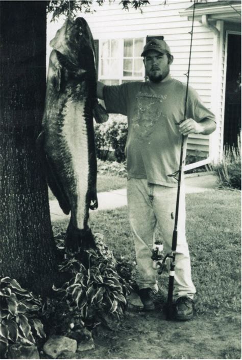 The 10 Biggest World Record Catfish Ever Caught Xpert Tactical