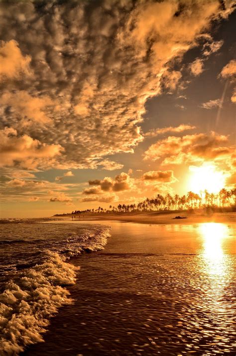 Paradise Photo Golden Hour Photography Sky Aesthetic Nature