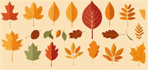 Premium Vector 2d Vector Illustration Set Autumn Leaves Cartoon Flat