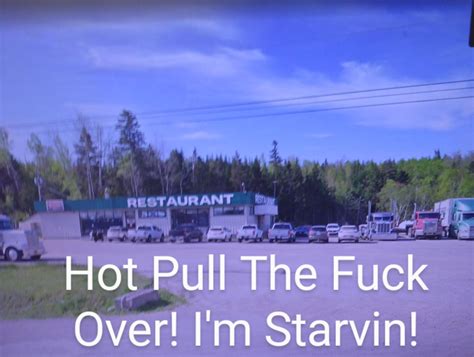 Paradise Found! : r/trailerparkboys