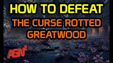 Dark Souls 3 How To Beat The Curse Rotted Greatwood Boss Youtube