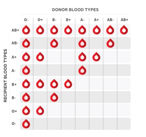 What Happens If You Give A Patient A Non Compatible Blood