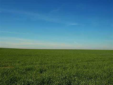 Field And Sky Free Stock Photo Public Domain Pictures