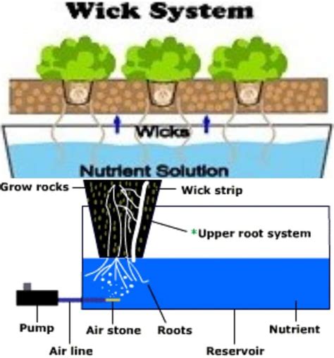 Hydroponics Wick System For Beginners Gardening Tips