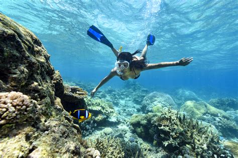 The Remote Resort Rainbow Reef Snorkel The Remote Resort Fiji Islands