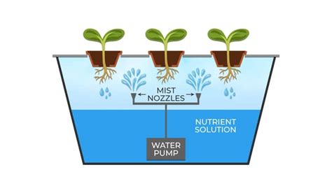 Hydroponics A Get Started With Hydroponic Systems Guide
