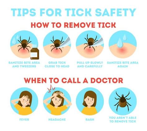 How To Remove A Tick Must Go Camping