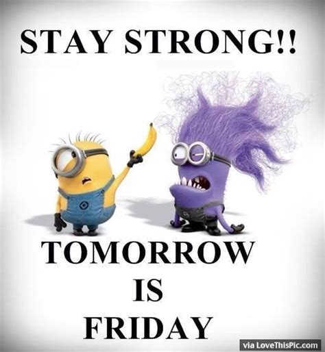 Stay Strong Tomorrow Is Friday Funny Thursday Quotes Friday Quotes Funny Tomorrow Is Friday