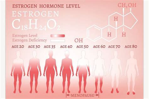 Estrogen Hormone Level Estrogen Hormone Hormone Levels Oestrogen