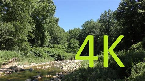 4k Nature Footage Northern Virginia Forest And Stream Summer Youtube