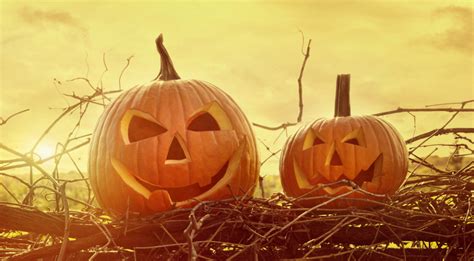 5 Hauntingly Good Ways To Be Eco Friendly This Spooky