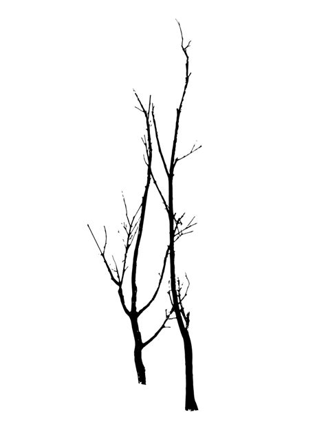 Tree Vector Png Picture 2236332 Tree Vector Png