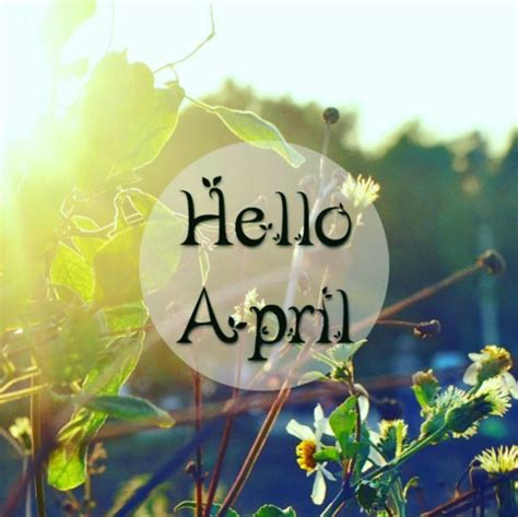 Hello April New Month Quotes April Quotes Seasons Months Months In A