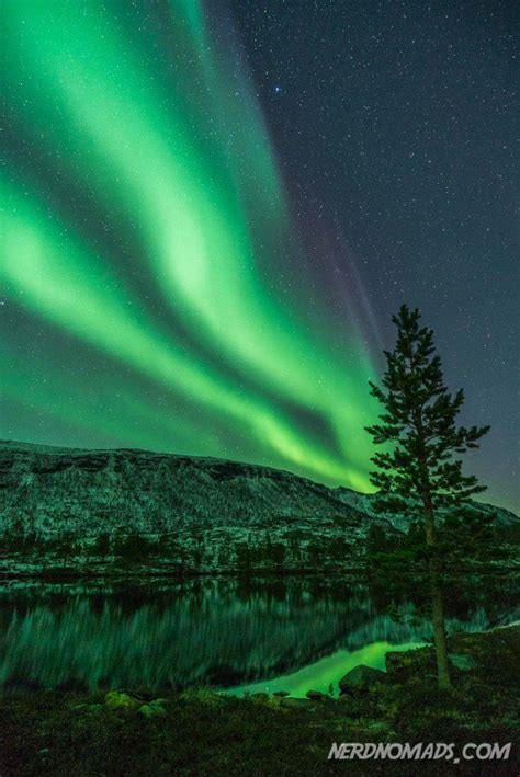 Chasing The Northern Lights In Tromso Norway 2021 Nerd Nomads