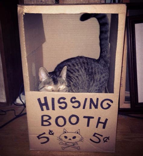 Reminisce about your true love with the most romantic the kissing booth 2 quotes via netflix straight from the hearts of noah and elle. funny kissing booths - Dump A Day