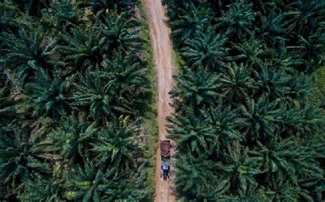 Best Things to Do in Ecuador