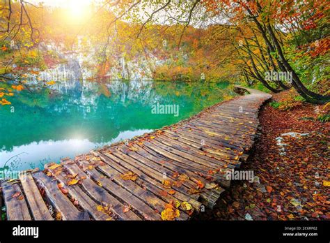 Amazing Autumn Scenery With Spectacular Lake In The Colorful Deciduous