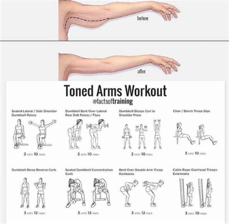 Pin By Kim Green On Exercise Tone Arms Workout Arm Workout Workout