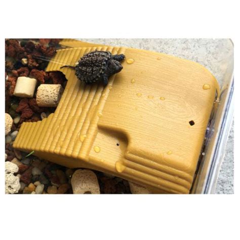 Jual X Turtle Basking Platform With Suction Cup Adjustable Aquatic