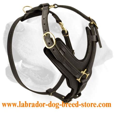 Labrador Exclusive Luxury Handcrafted Padded Leather Dog Harness H10