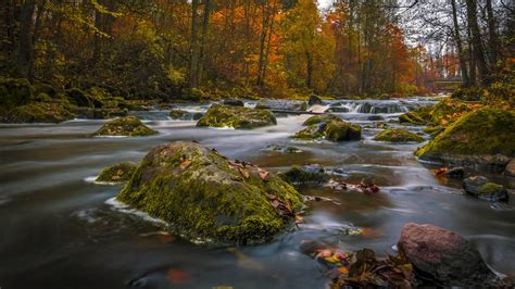 Nature Landscape Autumn Colors Forests Trees River Rocks Green Moss