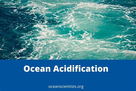 Ocean Acidification Causes Effects And Solution Ocean Scientists