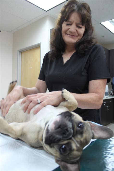 Trusted Veterinary Care - Animal Medical Center of Pleasanton