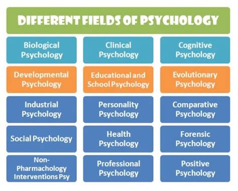 Different Fields Of Psychology And Their Application