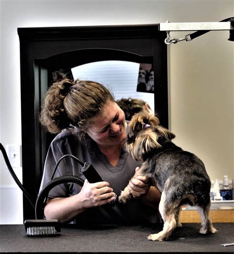 Asukohta kaardil all pets grooming & boarding. Pet Care Naples, FL - Dog Grooming Estero & Golden Gate