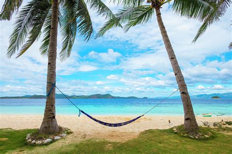 Empty Hammock Between Two Palm Trees Photograph By Jason Langley Pixels