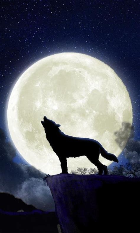 Howling Wolf Live Wallpaper Apk For Android Download