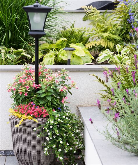 Tropical Garden Ideas 10 Tips To Turn Your Garden Into An Oasis