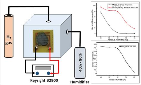 Home Ieee Sensors Letters