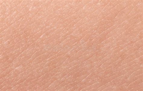 Texture Of Skin Closeup Stock Photo Image Of People 150070086