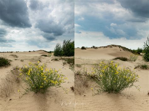 Chọn Lọc 77 Hình ảnh Background Vs Foreground Vn