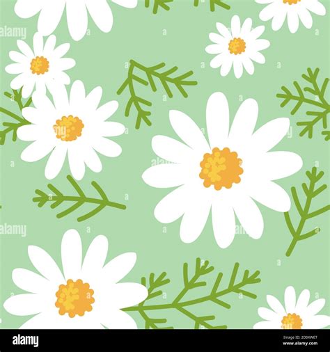 Daisy Flower Seamless Pattern On Green Background Stock Vector Image