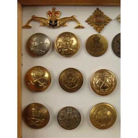 24 Pc British Military Button Insignia Collection Frmd