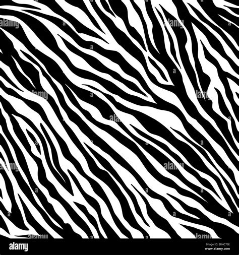 Zebra Seamless Pattern Black And White Zebra Stripes Vector Zoo