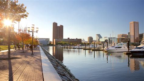 Baltimore Inner Harbor Marina Pictures View Photos And Images Of