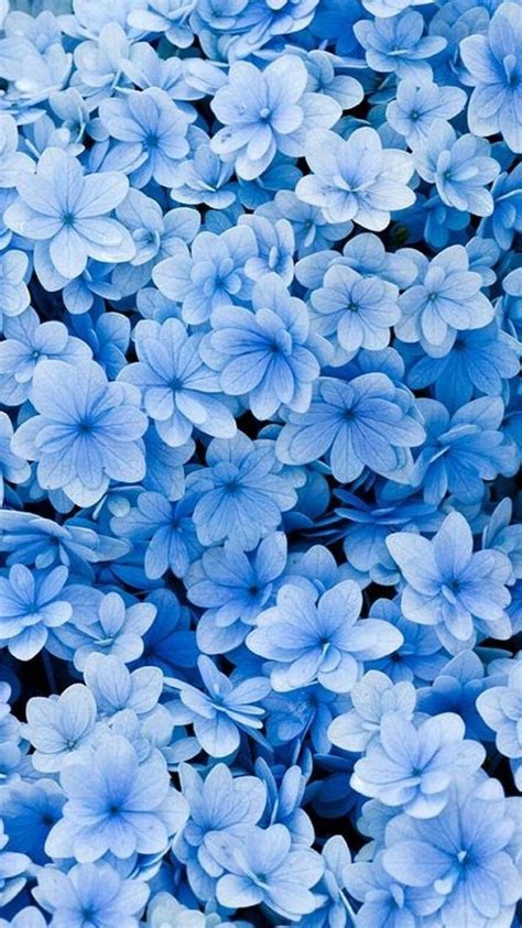 Little Blue Flowers Floral Phone Wallpaper Phone Background Spring