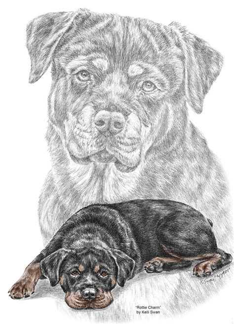 Rottie Charm Rottweiler Dog Print With Color Drawing By Kelli Swan