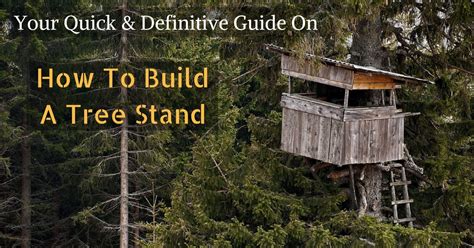 Your Quick And Definitive Guide On How To Build A Tree Stand