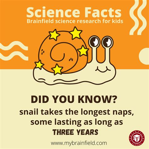 Science Facts Did You Know This Brainfield School