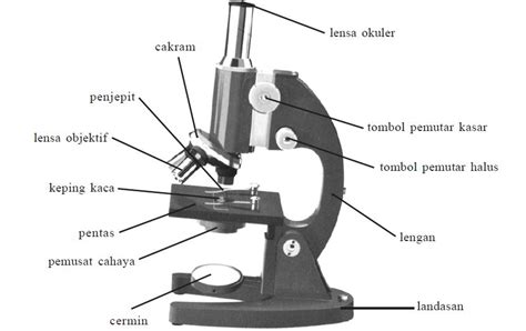 Bagian Bagian Mikroskop Dan Fungsinya Atap Ilmu