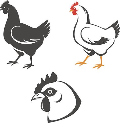 Royalty Free Hen Clip Art Vector Images And Illustrations Istock
